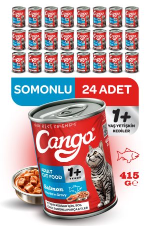 Cango Yetişkin Yaş Kedi Maması Somonlu 415Gr 24Lü - Görsel 1