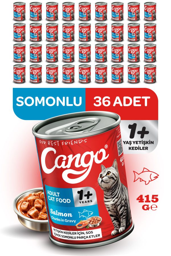 Cango Yetişkin Yaş Kedi Maması Somonlu 415Gr 36Lı