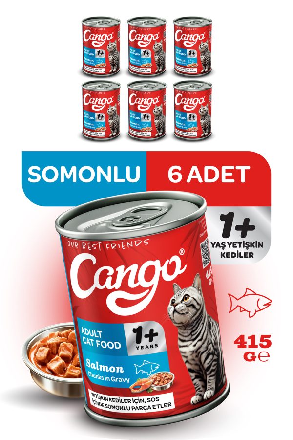 Cango Yetişkin Yaş Kedi Maması Somonlu 415Gr 6Lı