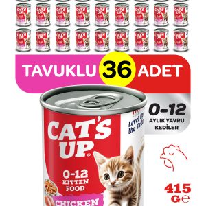 Cats Up Yaş Yavru Kedi Maması Tavuklu 415gr 36Lı - Görsel 1