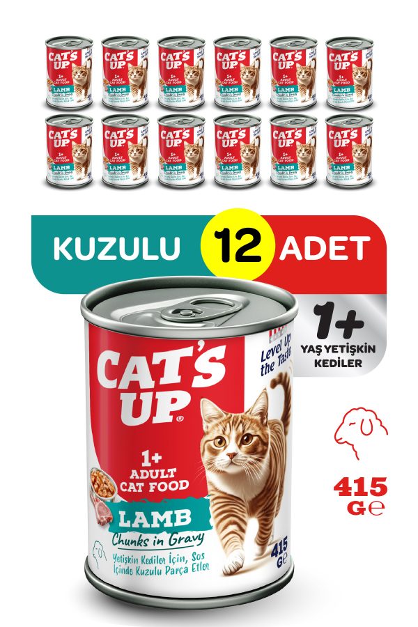 Cats Up Yaş Yetişkin Kedi Maması Kuzu Etli 415gr 12Li
