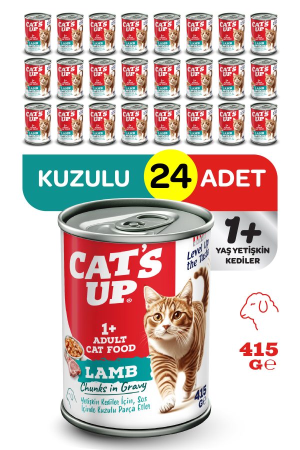 Cats Up Yaş Yetişkin Kedi Maması Kuzu Etli 415gr 24Lü
