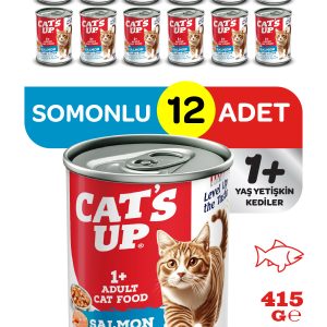 Cats Up Yaş Yetişkin Kedi Maması Somonlu 415gr 12Li - Görsel 1