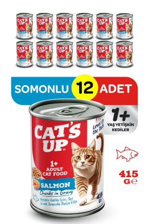 Cats Up Yaş Yetişkin Kedi Maması Somonlu 415gr 12Li - Görsel 1