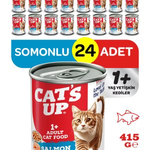 Cats Up Yaş Yetişkin Kedi Maması Somonlu 415gr 24Lü - Görsel 1