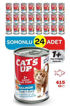 Cats Up Yaş Yetişkin Kedi Maması Somonlu 415gr 24Lü - Görsel 1