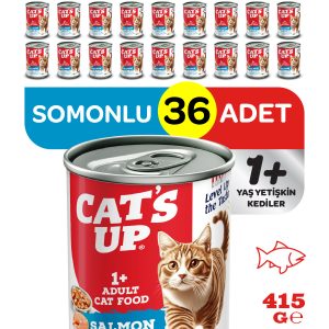 Cats Up Yaş Yetişkin Kedi Maması Somonlu 415gr 36Lı - Görsel 1