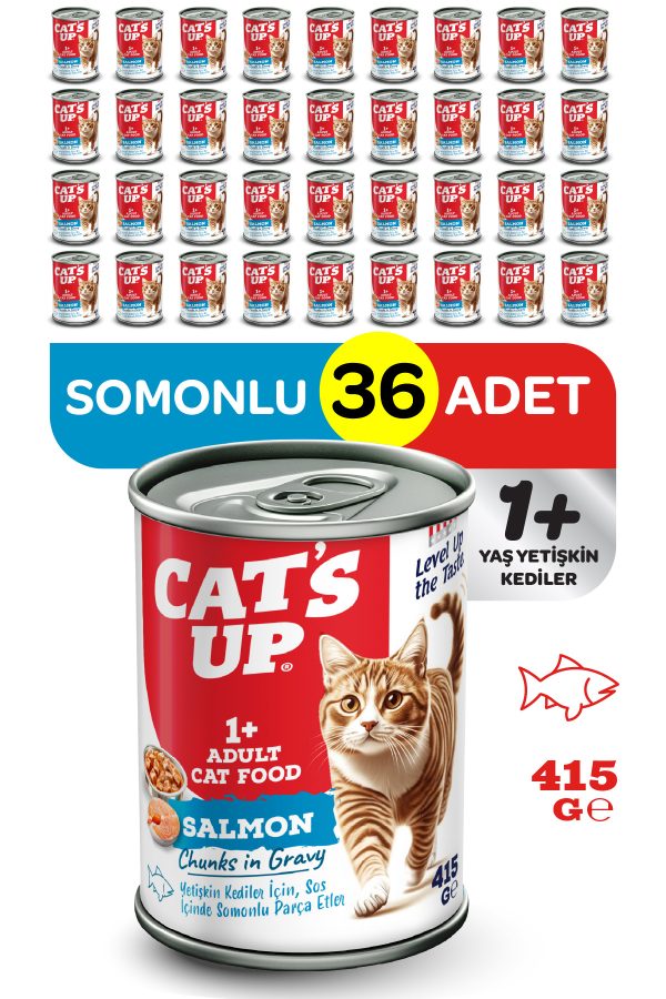 Cats Up Yaş Yetişkin Kedi Maması Somonlu 415gr 36Lı
