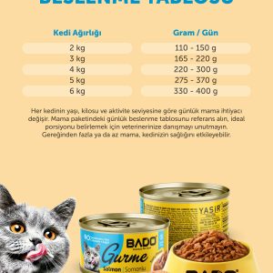 BADO GURME YAŞ YETİŞKİN KEDİ MAMASI SOMONLU 85 GR 12 ADET - Görsel 9