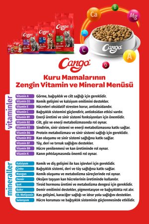 Cango Yetişkin Kedi Maması Kuzu Etli 1KG - Görsel 5