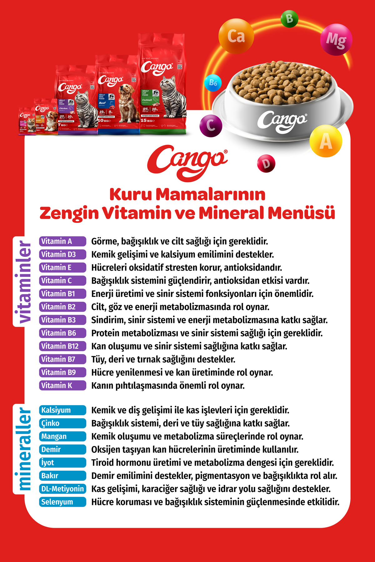 Cango Yetişkin Kedi Maması Kuzu Etli 1KG - Görsel 5