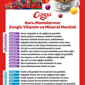Cango Yetişkin Kedi Maması Somonlu 1 Kg 5'li - Görsel 5