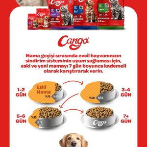 Cango Yetişkin Kedi Maması Tavuk Etli 1 Kg - Görsel 4