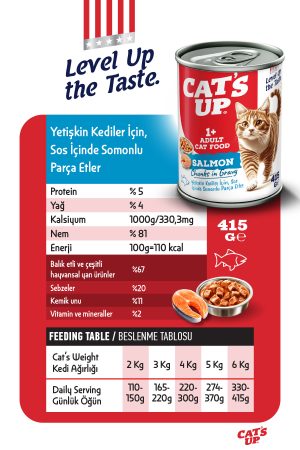 Cats Up Yaş Yetişkin Kedi Maması Somonlu 415gr 36Lı - Görsel 3