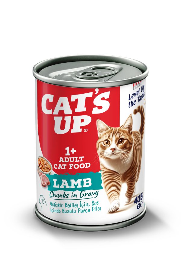 Cats Up Yaş Yetişkin Kedi Maması Kuzu Etli 415gr