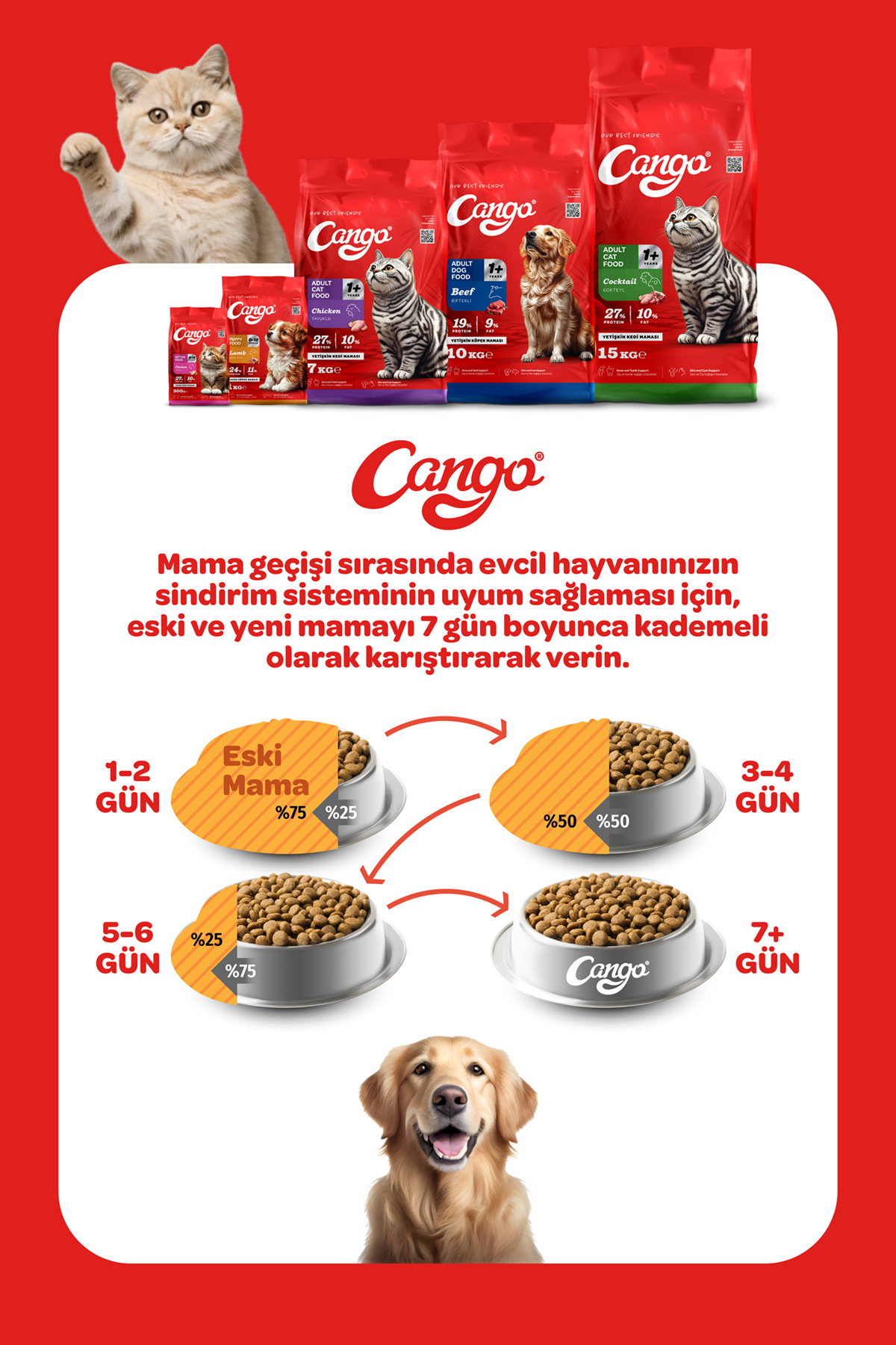 Cango Yetişkin Kedi Maması Kuzu Etli 1KG - Görsel 4